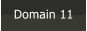 Domain 11