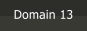 Domain 13