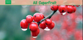 cheap-websites-nashville-tn